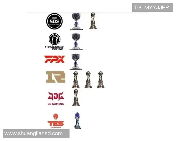 深度剖析FPX战队成员个人能力的全面对比与评估