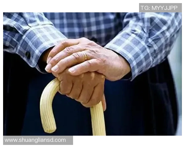 吴伟畅谈和平精英发展历程与未来展望的深度专访回顾